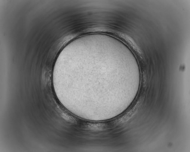 X0000099411225200805301338