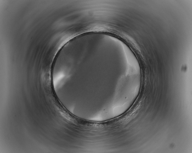 X0000099411226200805301338