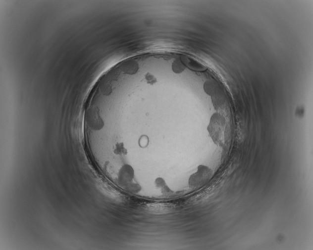 X0000099411227200805301338