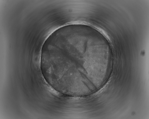 X0000099411228200805301338