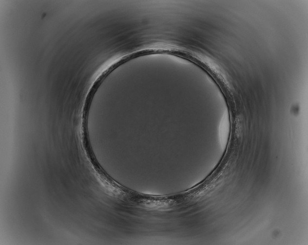 X0000099411229200805301338