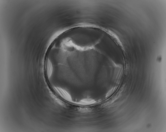 X0000099411231200805301338