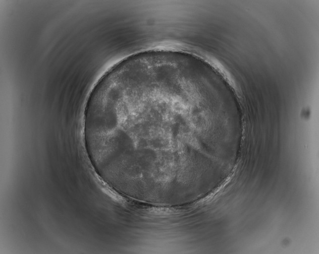 X0000099411232200805301338