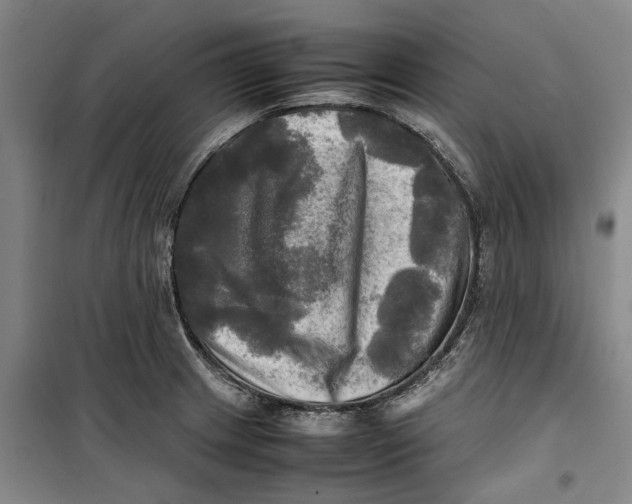 X0000099411233200805301338