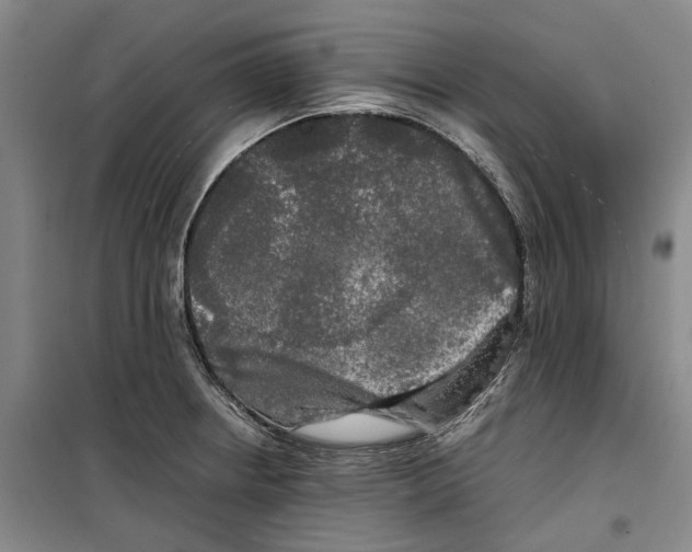 X0000099411234200805301338