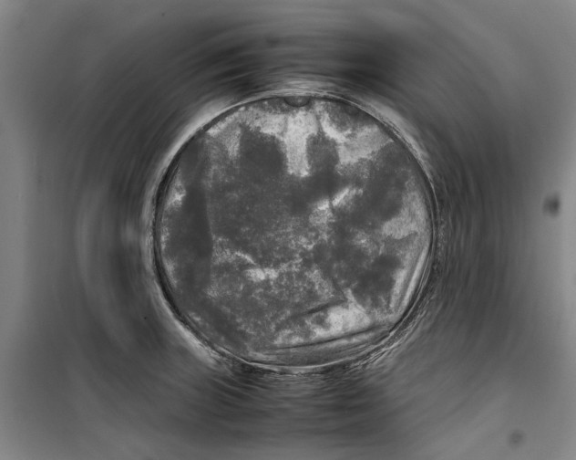 X0000099411235200805301338