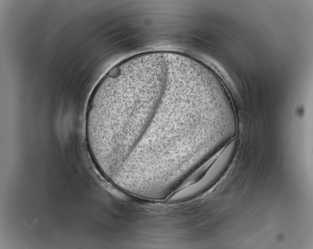 X0000099411236200805301338