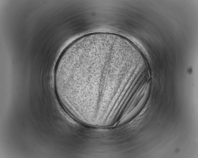 X0000099411238200805301338