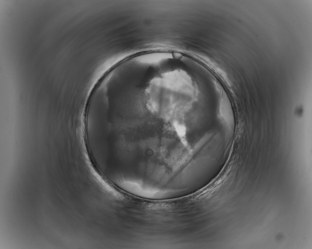 X0000099411239200805301338