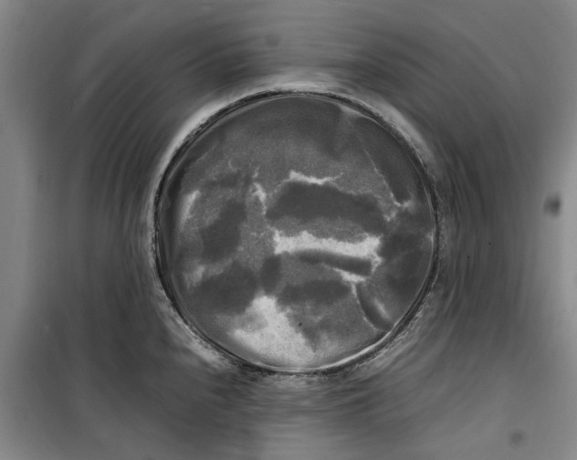 X0000099411240200805301338