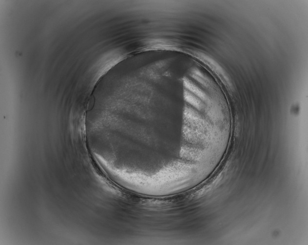 X0000099411241200805301339