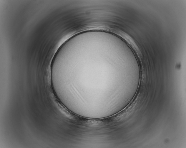 X0000099411242200805301339