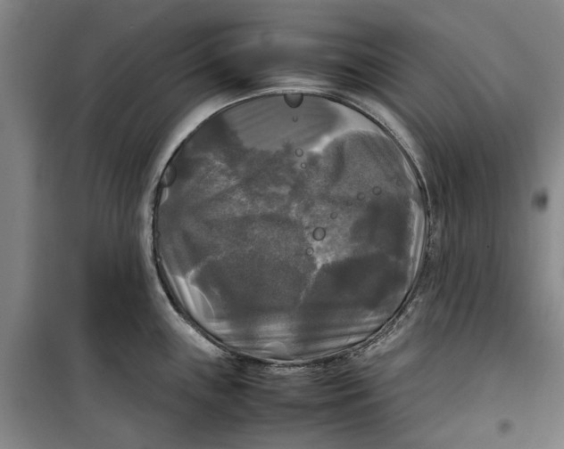 X0000099411243200805301339