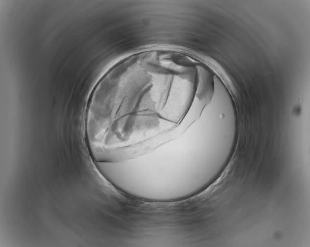 X0000099411244200805301339