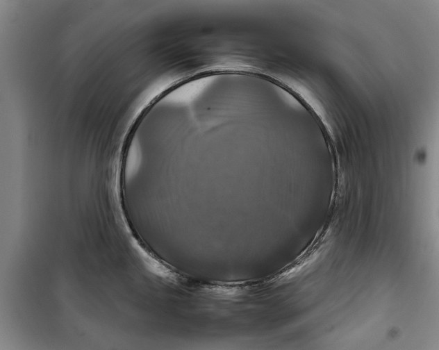 X0000099411245200805301339