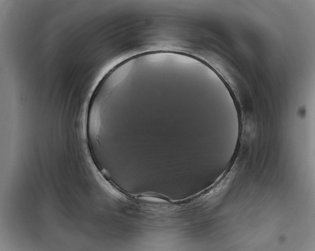 X0000099411246200805301339