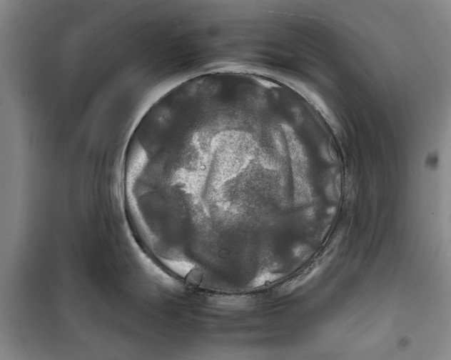 X0000099411247200805301339