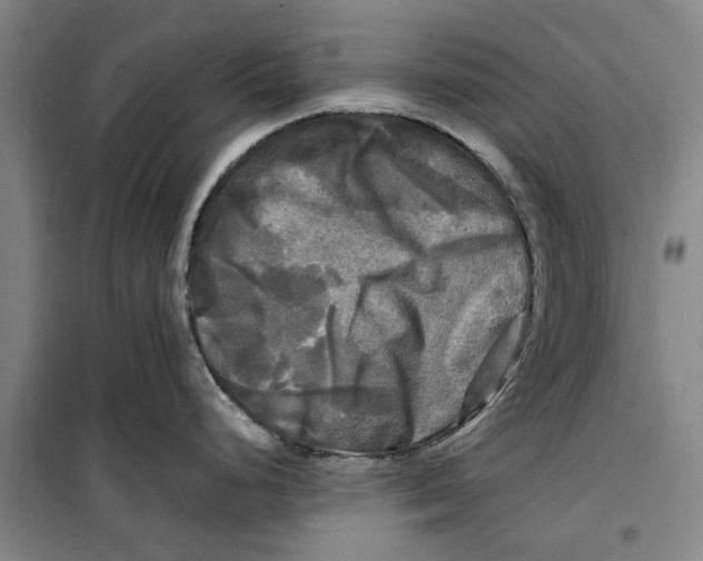 X0000099411248200805301339