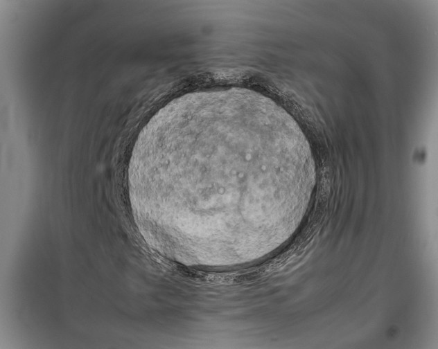 X0000099411249200805301338