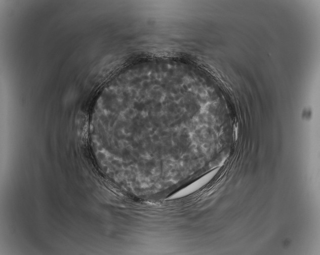 X0000099411251200805301338