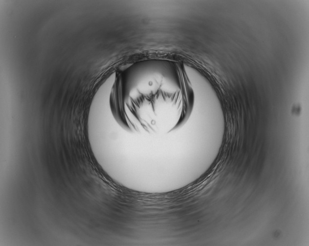 X0000099411252200805301338