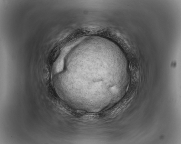 X0000099411253200805301338