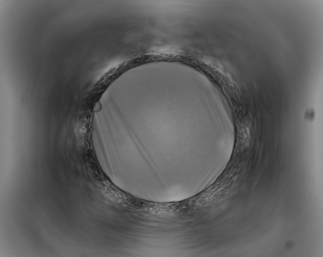 X0000099411254200805301338