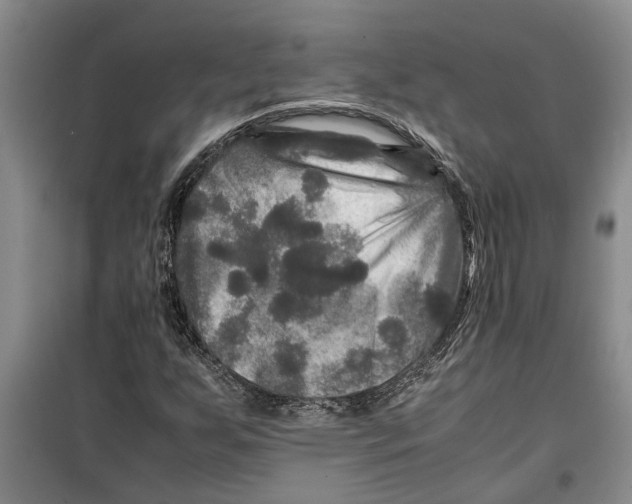 X0000099411255200805301338