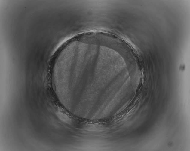 X0000099411256200805301338