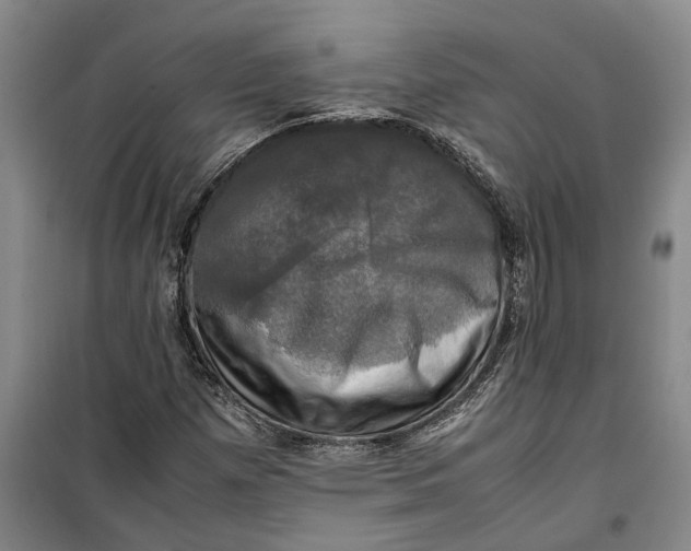 X0000099411257200805301338