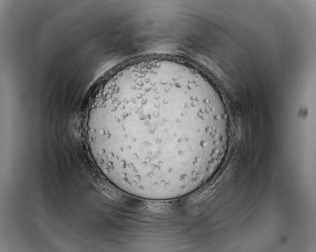 X0000099411258200805301338