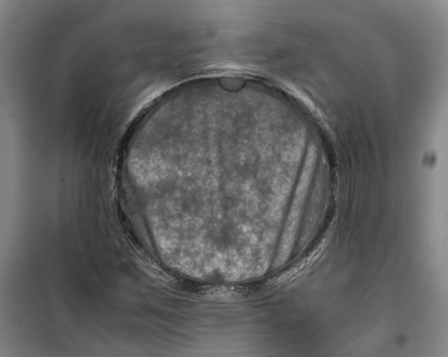 X0000099411259200805301338