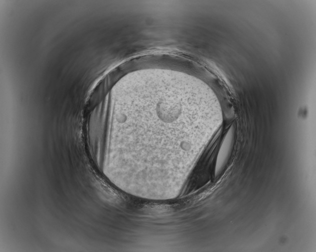 X0000099411260200805301338