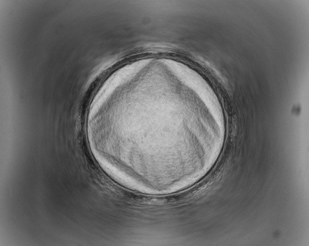 X0000099411261200805301338