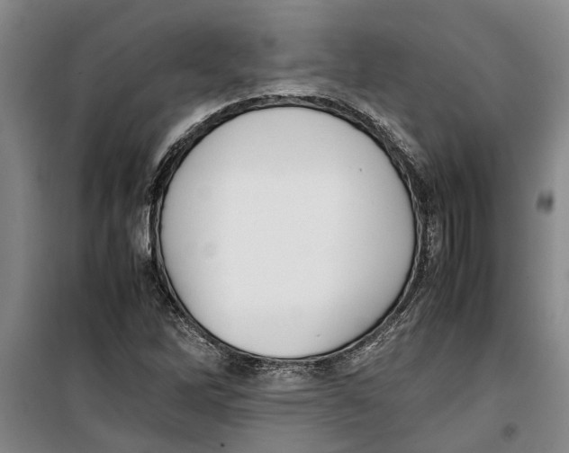 X0000099411262200805301338