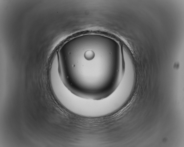 X0000099411263200805301338