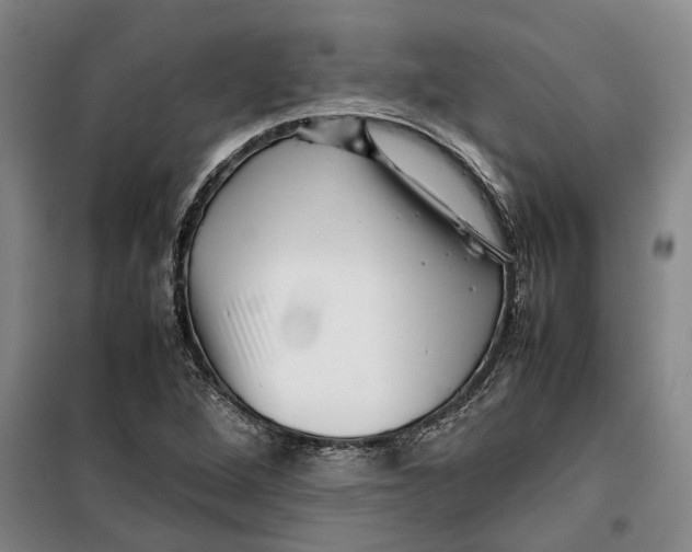 X0000099411264200805301338