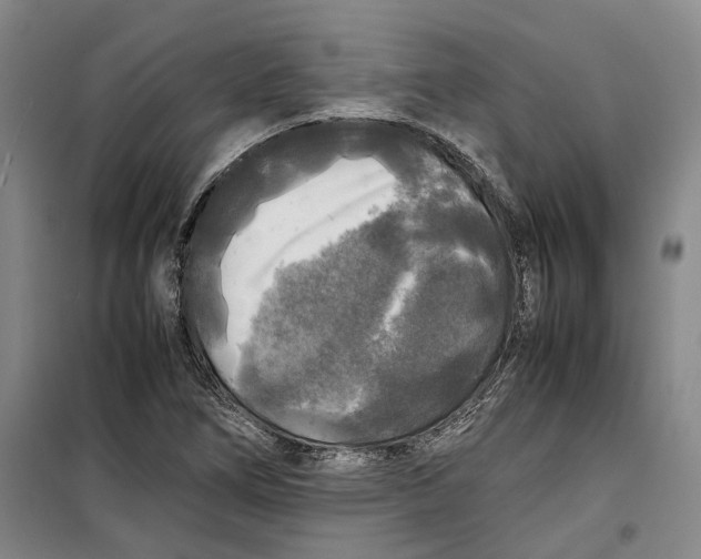 X0000099411266200805301338