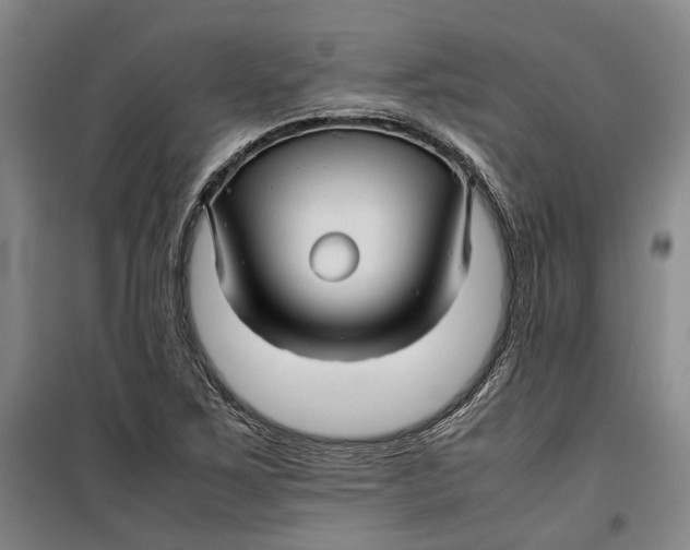 X0000099411267200805301338