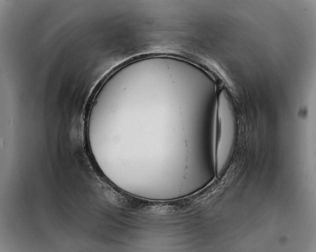 X0000099411268200805301338