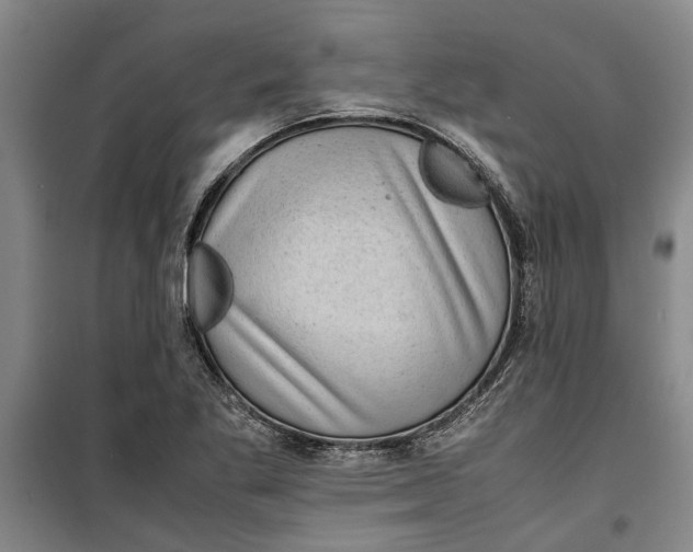 X0000099411269200805301338