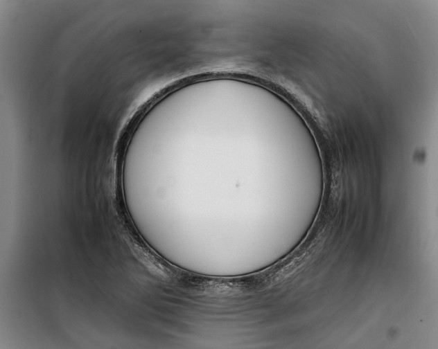 X0000099411270200805301338