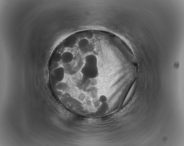 X0000099411271200805301338