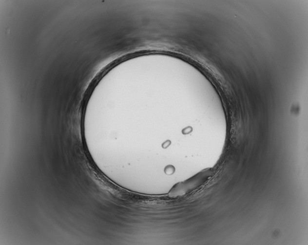 X0000099411272200805301338