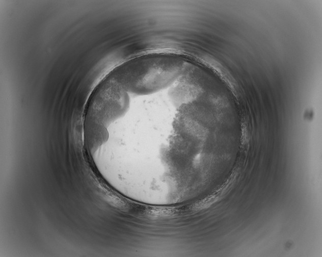 X0000099411274200805301338