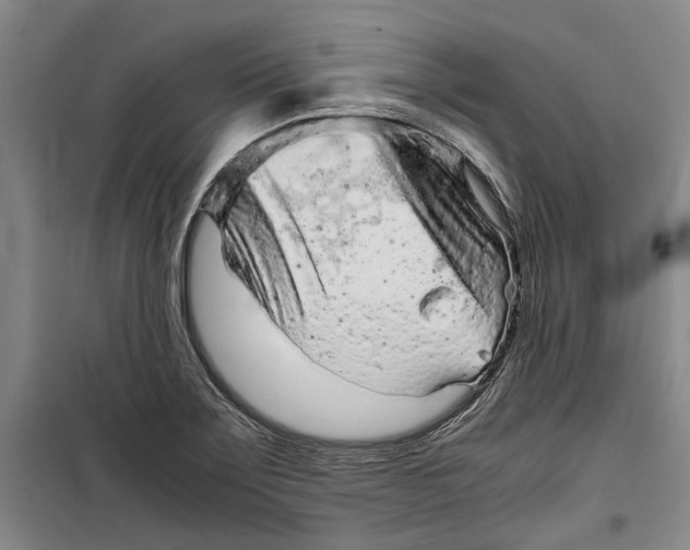 X0000099411275200805301338