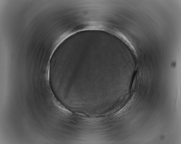 X0000099411276200805301338