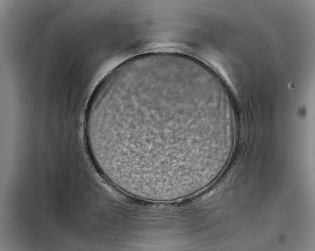 X0000099411277200805301338