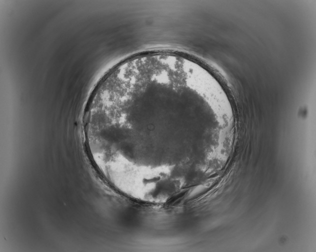 X0000099411279200805301338