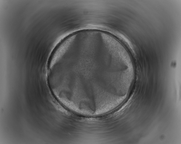 X0000099411280200805301338